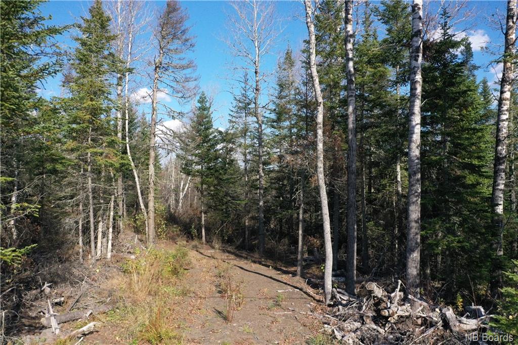 Lot 17-6 Route 865, Norton, New Brunswick (ID NB078775)