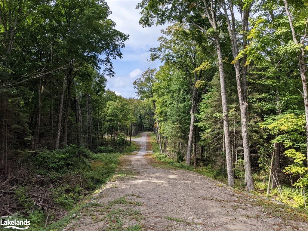 194 CLARKES Lane, Utterson, Ontario (ID 40253781)