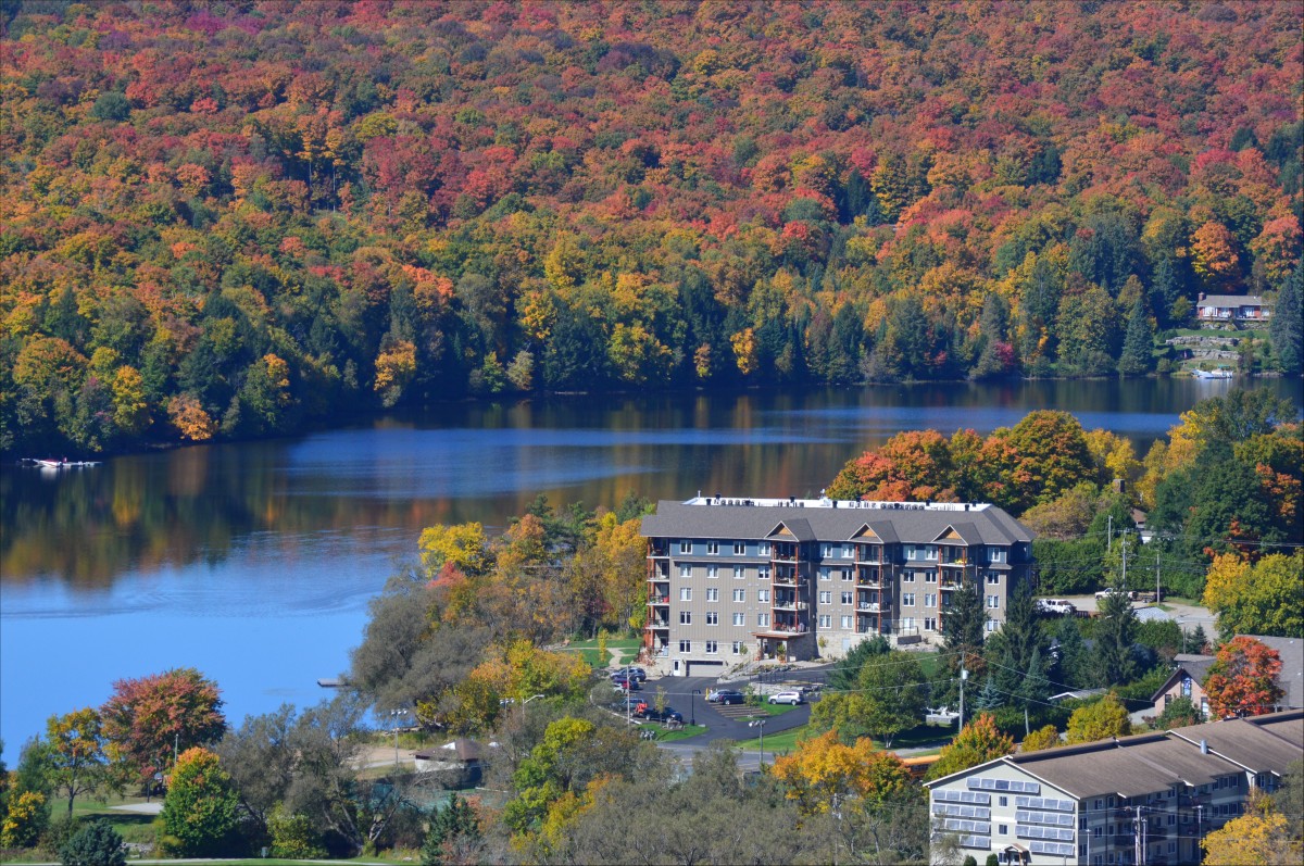 1 Park St. , Haliburton, Ontario