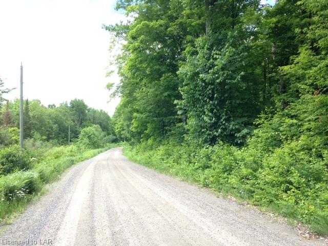 XX SEAGULL LAKE Road, Arnstein, Ontario (ID 206169)