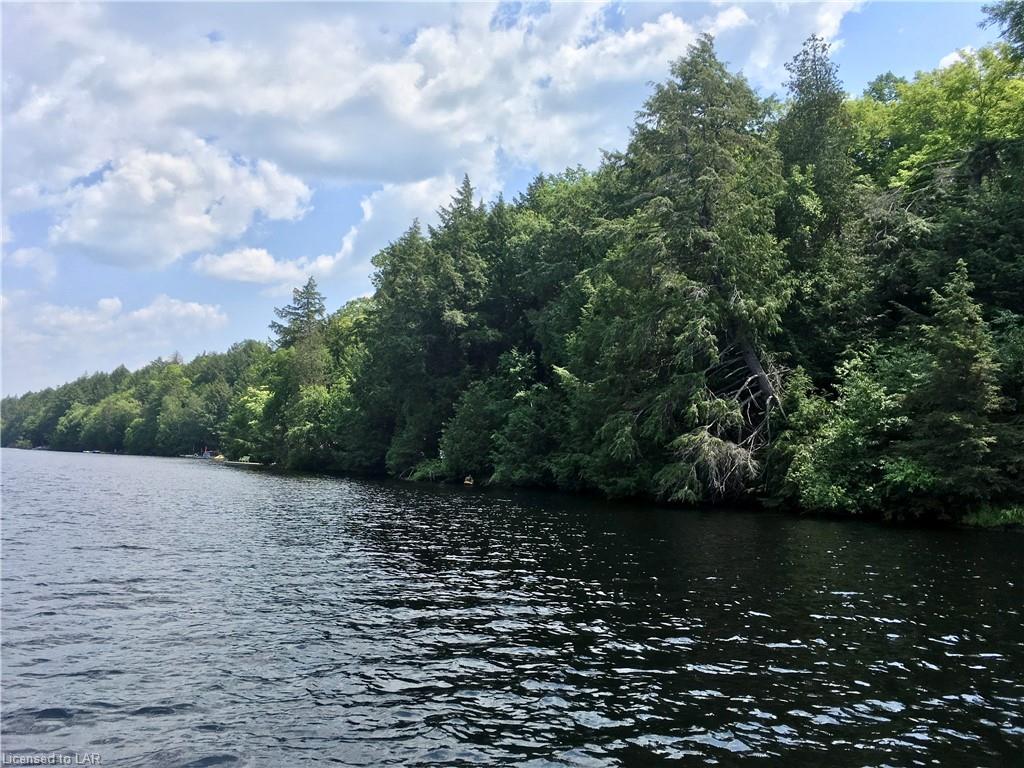 XX TOAD Lake, Port Loring, Ontario (ID 211743)