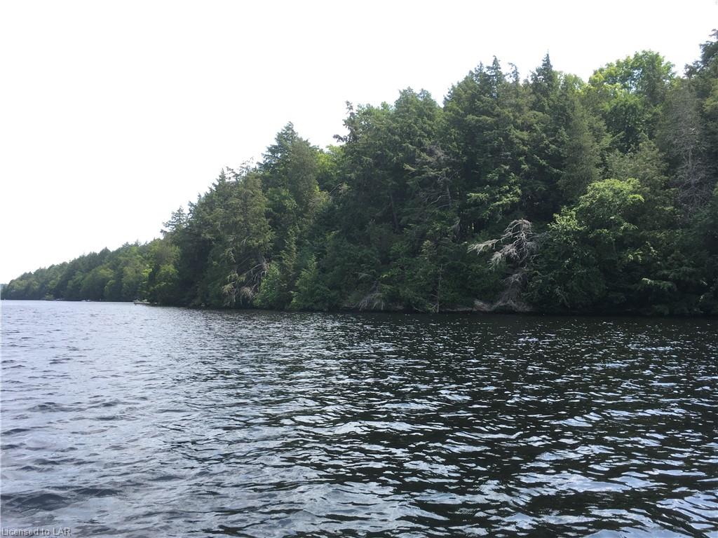 CC TOAD LAKE Shores, Port Loring, Ontario (ID 263941)