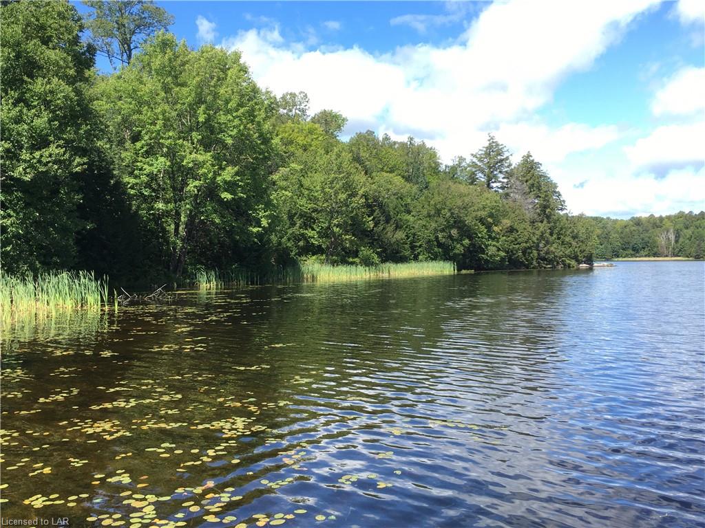 HH WILSON Lake, Port Loring, Ontario (ID 40014549)