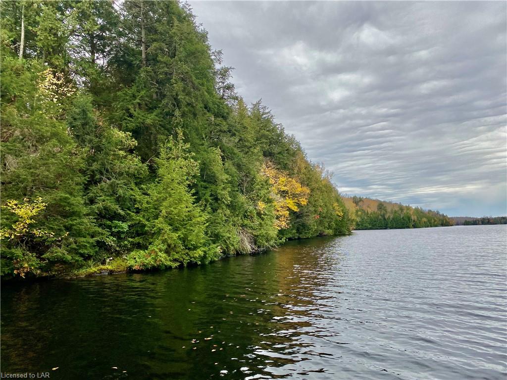 LT 21 TOAD Lake, Port Loring, Ontario (ID 40178237)