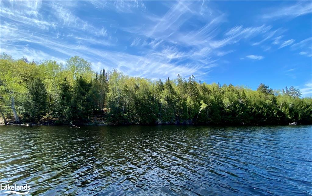 A TOAD LAKE Shores, Loring, Ontario (ID 40260751)