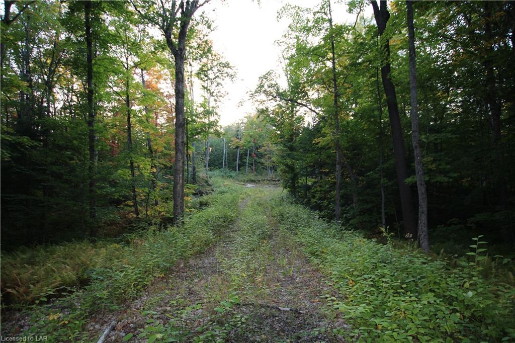 880 BARRETT Road, Commanda, Ontario (ID 238620)