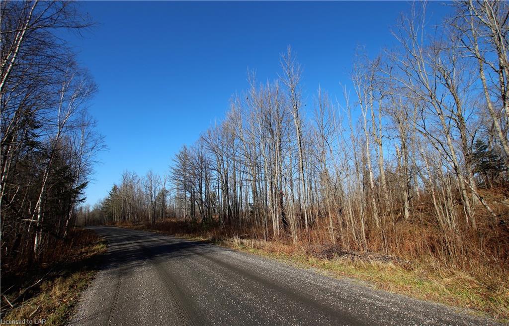NA ODORIZZI Road, Golden Valley, Ontario (ID 40041620)