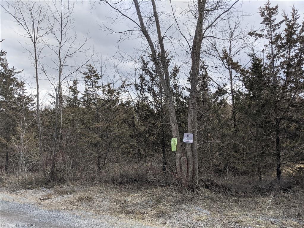 C COLEBROOK Road, Stone Mills, Ontario (ID 40237432)