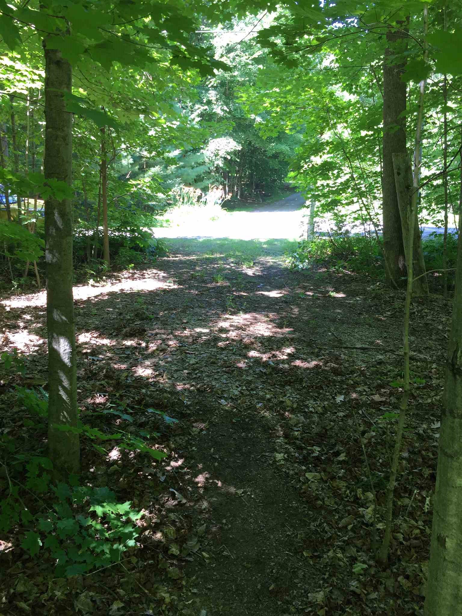 Thomas Road, Rideau Lakes Township, Ontario (ID K20002770)