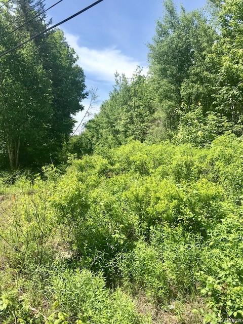 Lot 4 Wilsey Road, Waasis, New Brunswick (ID NB026531)