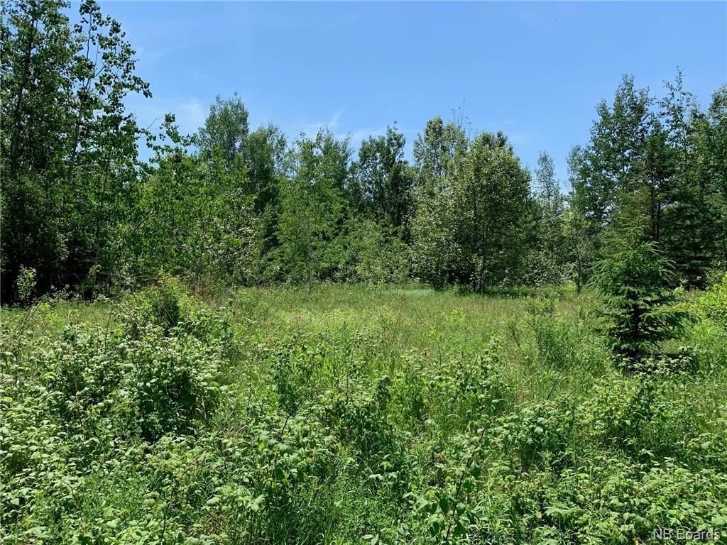 Lot 17-1 Route 104, Greenhill, New Brunswick (ID NB042527)
