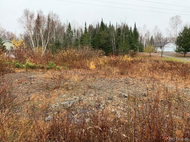 Lot 2011-1 Craig Street, Richibucto Road, New Brunswick (ID NB058562)
