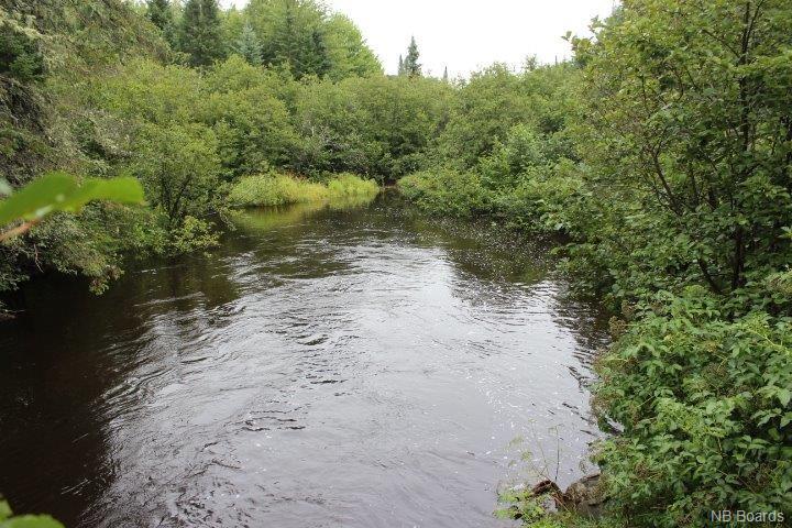 Lot Royal Road, Hamtown Corner, New Brunswick (ID NB011037)