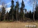 LOT 12-06 Robby Street, Douglas, New Brunswick (ID NB054023)