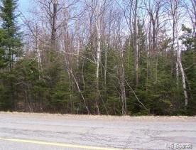 LOT 7 Royal Road, Kingsley, New Brunswick (ID NB049279)