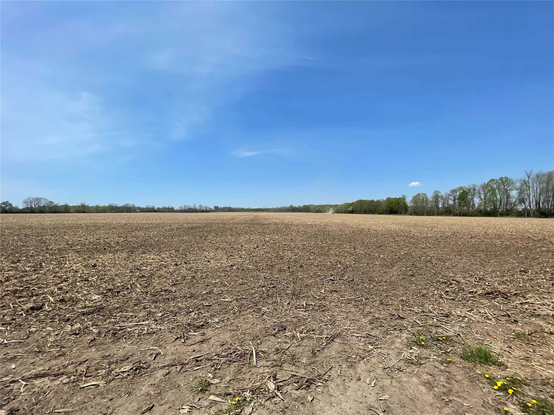 1273 Ramara Rd, Ramara, Ontario (ID S6041737)