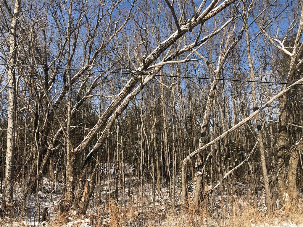 N/A MCINTYRE, Nairn Centre, Ontario (ID 2083404)