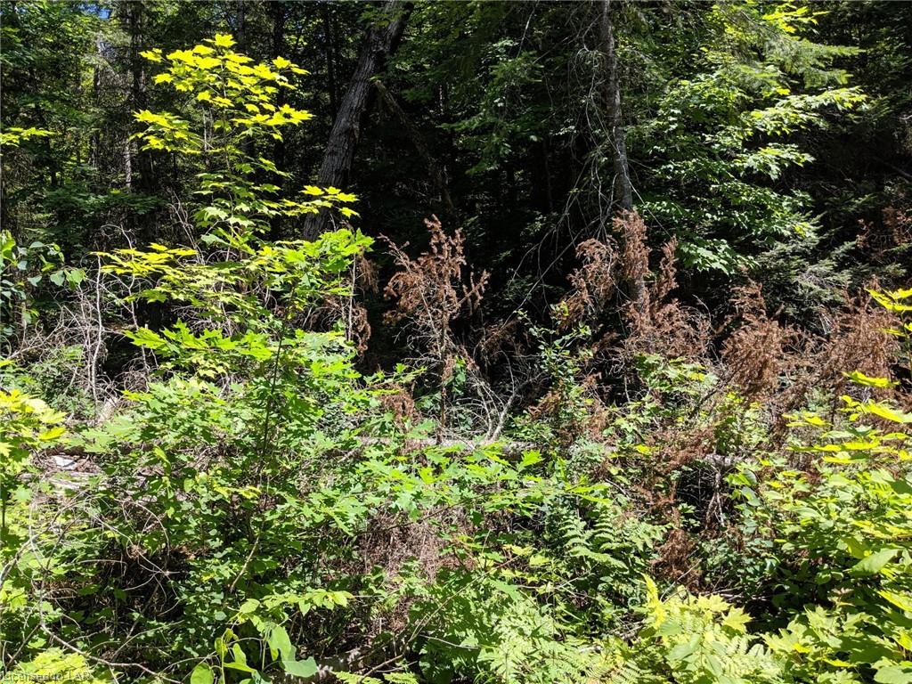 GIBSON Road, Tory Hill, Ontario (ID 243819)