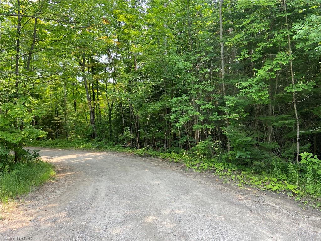 35 Highway, Minden Hills, Ontario (ID 40149294)
