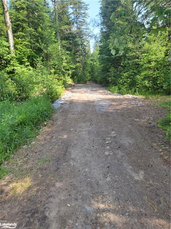 215 HIGHWAY 518 E, Emsdale, Ontario (ID 40285559)