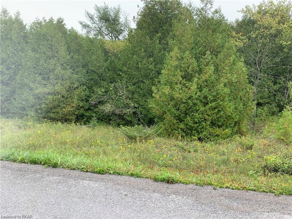 NORTH SCHOOL ROAD N, Havelock, Ontario (ID 40267888)