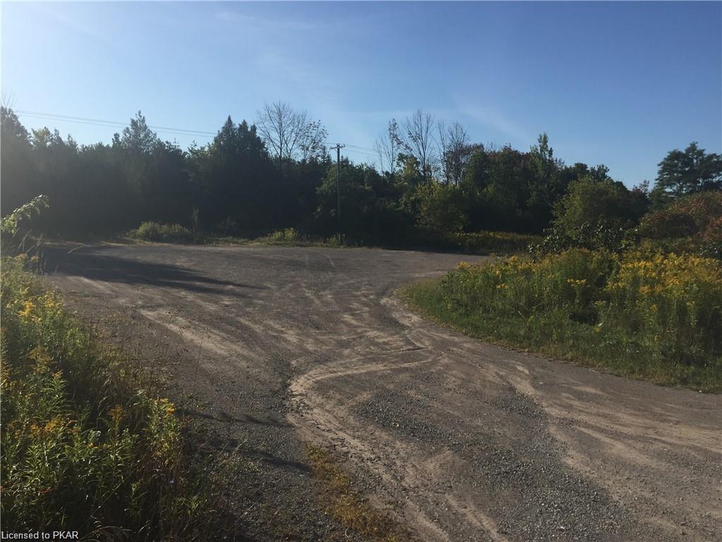 91 COUNTY ROAD 4, Douro, Ontario (ID 40214794)