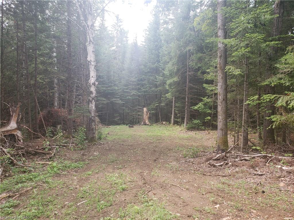PAYNES Road, Highlands East, Ontario (ID 145727)