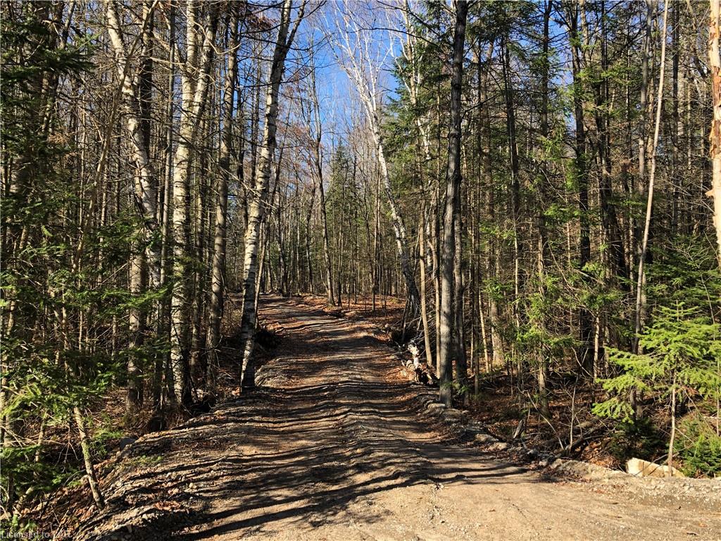 LOT 82 NORTH Drive, Haliburton, Ontario (ID 264143)