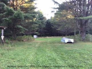 1109 ERIC POTTER RD, Haliburton, Ontario (ID 391910332)