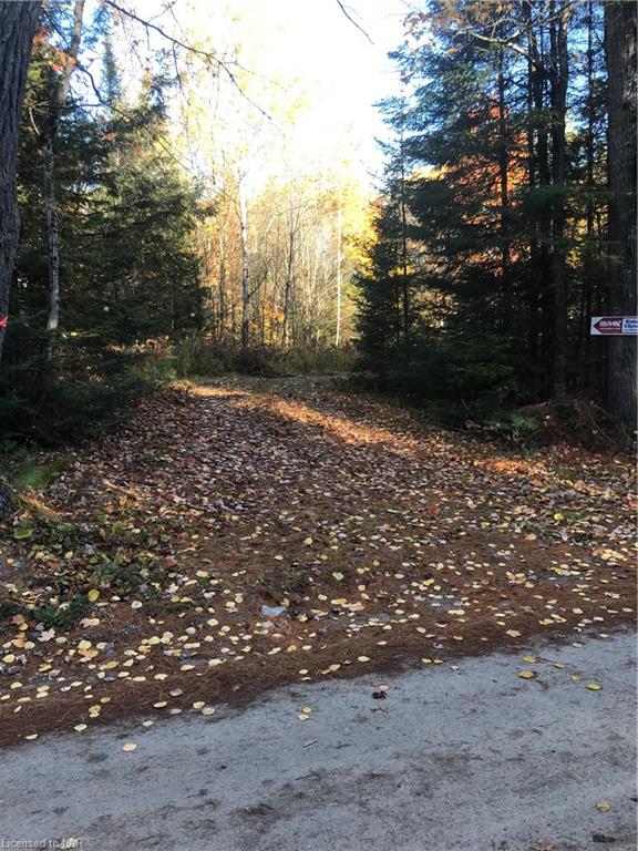 REID Street, Kinmount, Ontario (ID 40033374)