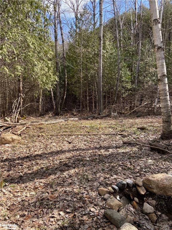 CHELSEA Lane, Algonquin Highlands, Ontario (ID 40242288)
