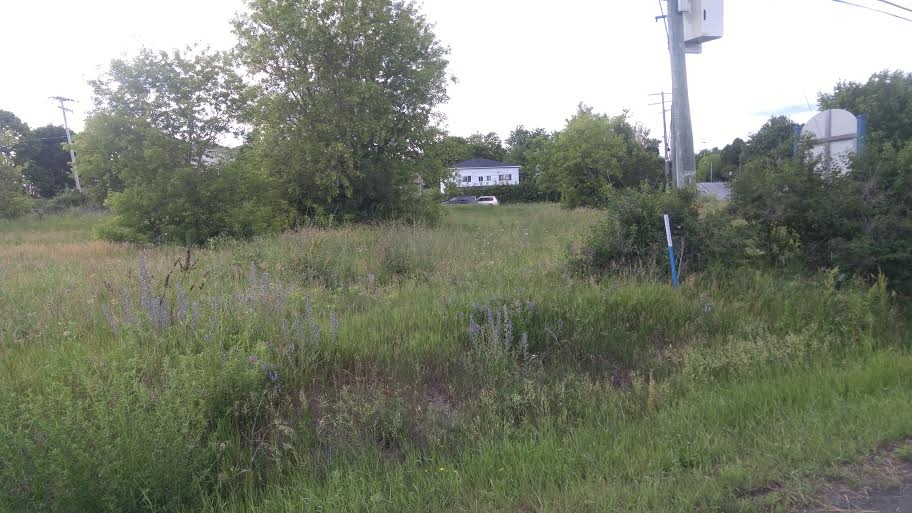 Bath Road, Amherstview, Ontario (ID K19001604)