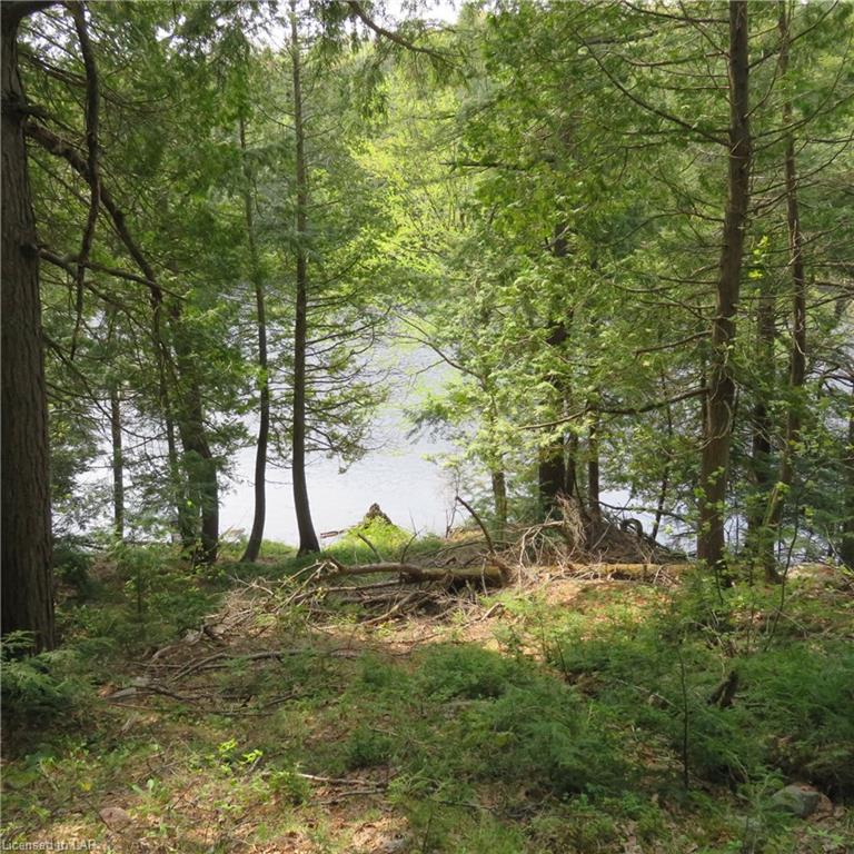 133 BALSAM CREEK Road, Loring, Ontario (ID 171399)