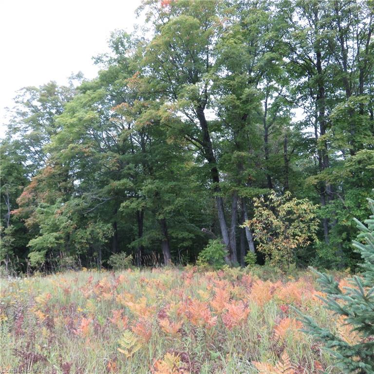 LT 16 CON 14 PCL 19377, EAST MILLS Township, Arnstein, Ontario (ID 224070)