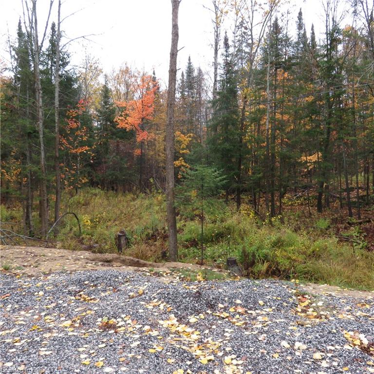 MCCAULEY Lane, Arnstein, Ontario (ID 227931)