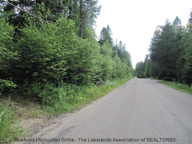 KEARNEY RD East, Kearney, Ontario (ID 521600079)