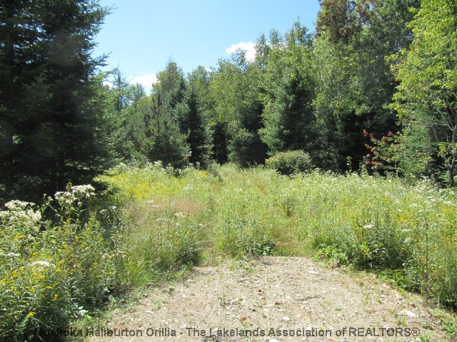 FOOTE LAKE RD, Novar, Ontario (ID 521610698)