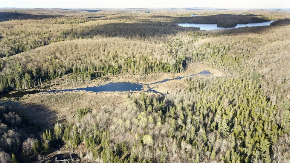Lot 5, Con 15, Hwy 118, Highlands East, Ontario (ID 239589)