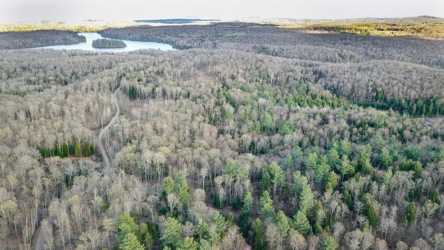 Lots 5 and 6 Con 15, Highway 118, Highlands East, Ontario (ID 201811)
