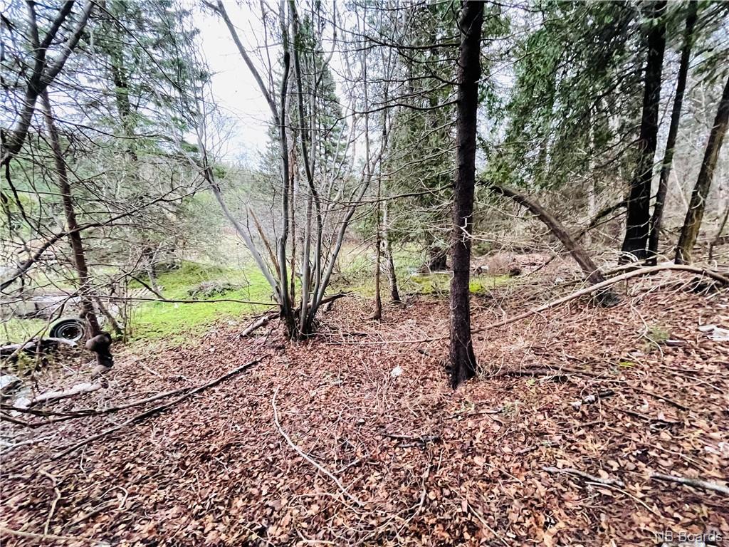23 Mount Loyal, Saint John, New Brunswick (ID NB082144)
