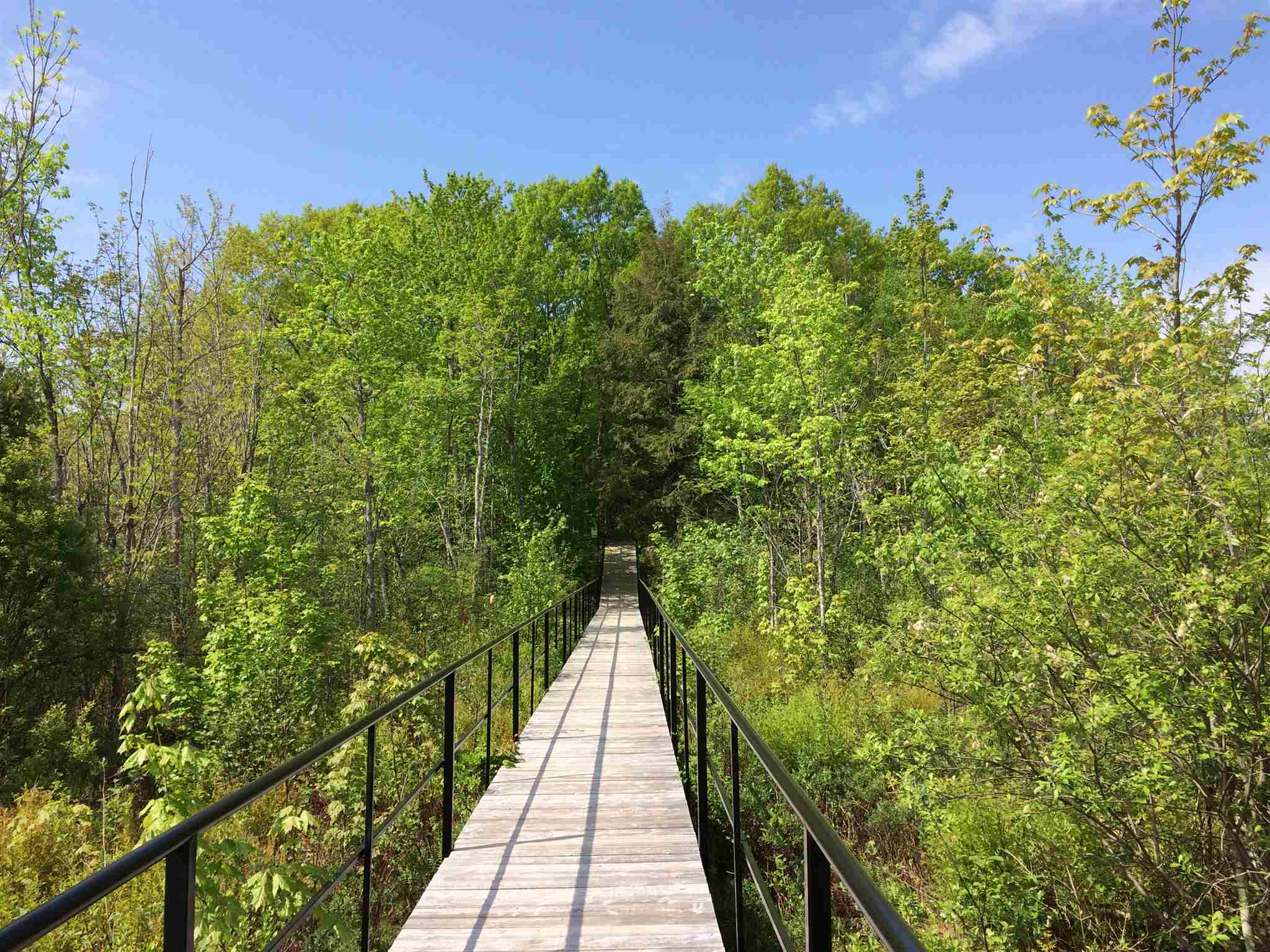 Lot 8 Balsam Lane, South Frontenac, Ontario (ID K20005695)