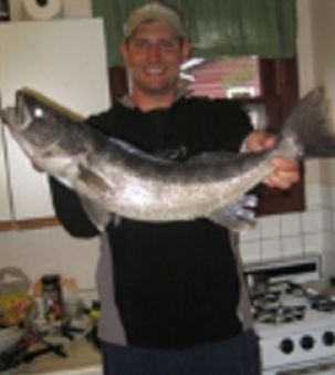 Greg Antuchiewicz portrait