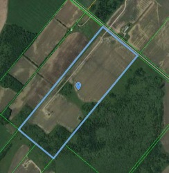 Lots 272 & 273 2nd Line Melancthon