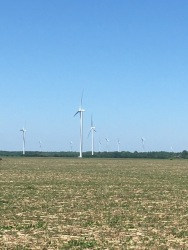 Bruce County