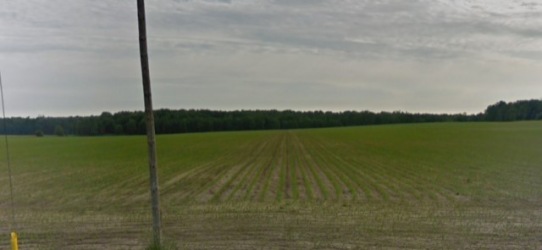 Lot 17, Con.6 Morris Township