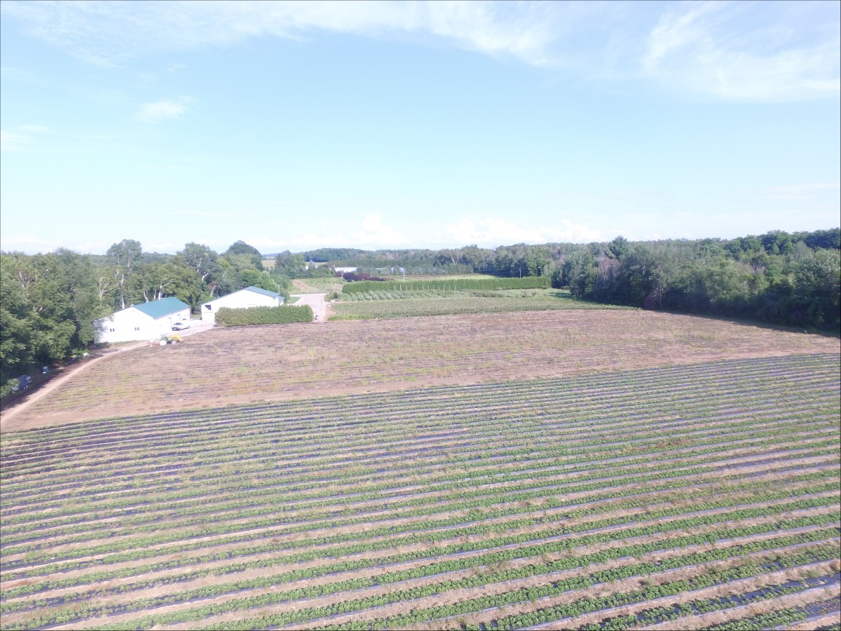77721 Orchard Line Bayfield