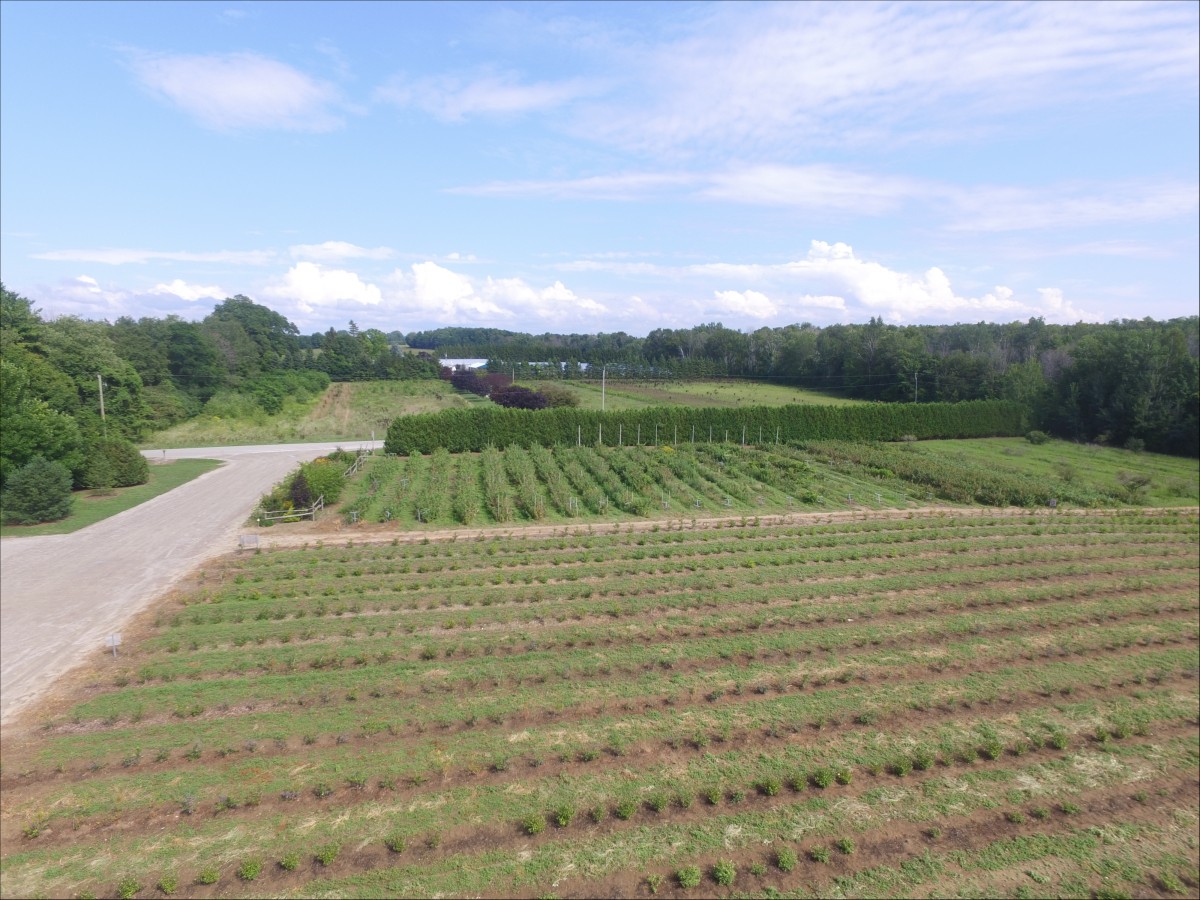 77721 Orchard Line Bayfield