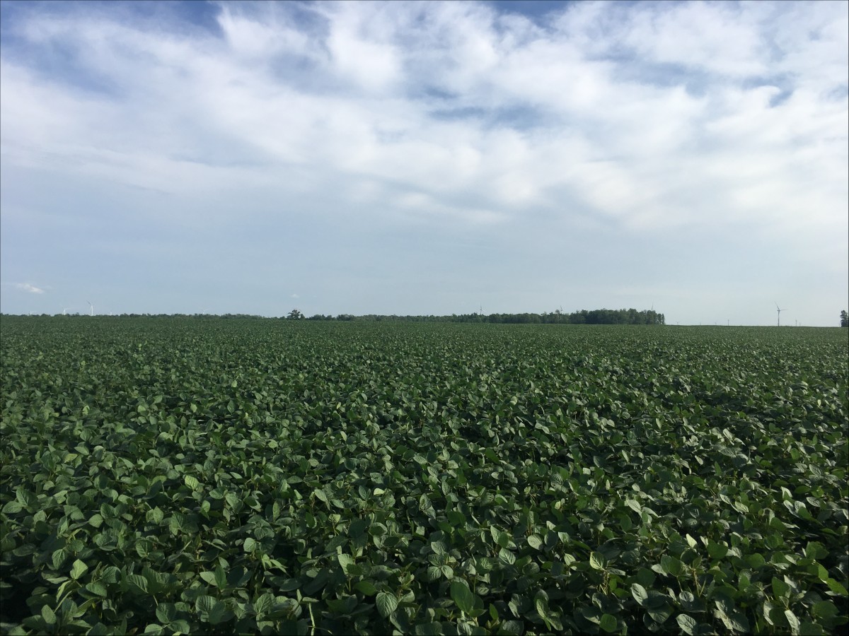 Huron County