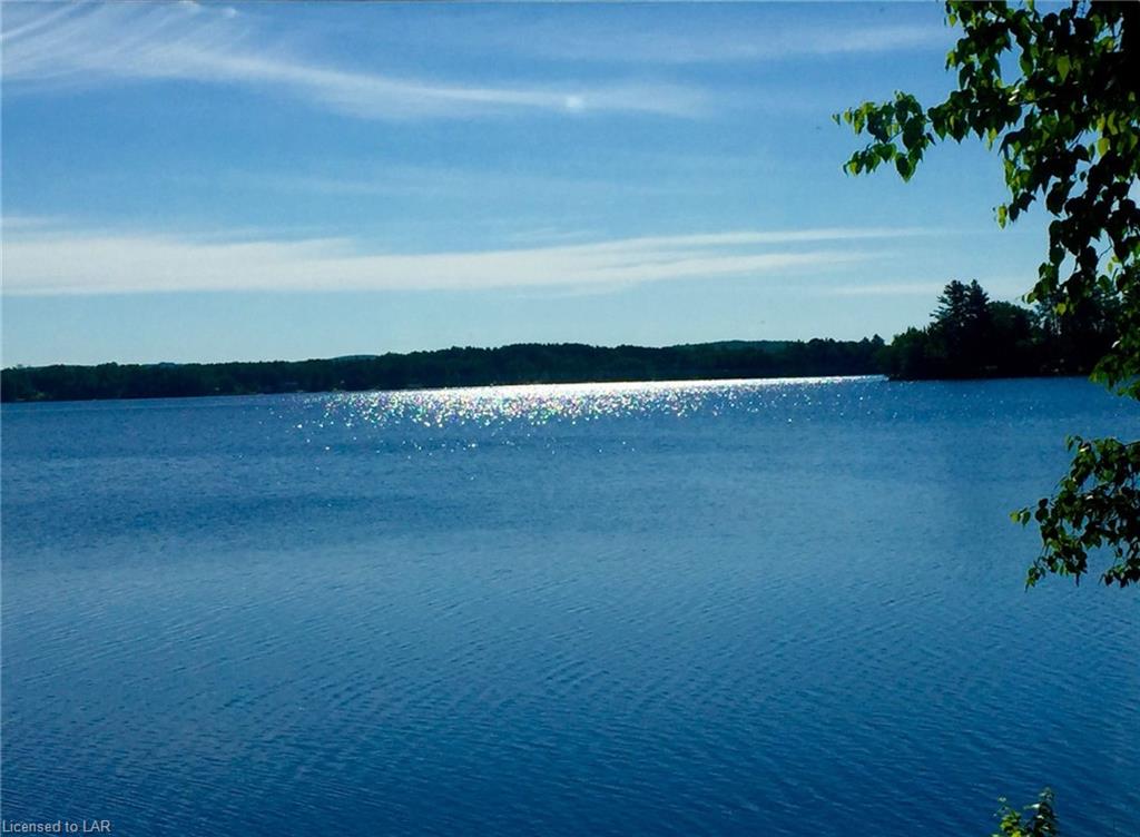 323D GRAHAMVALE Road, Powassan, Ontario, Canada