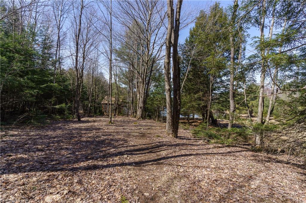 1161 BALDWIN Road, Bracebridge, Ontario, Canada